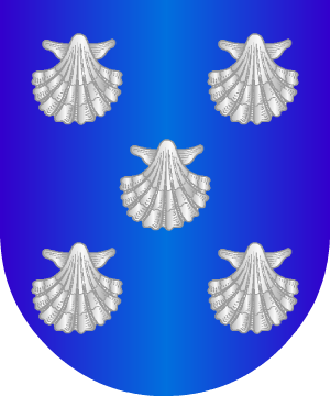 ESCUDO ALEATORIO